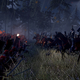 Image for article titled Shogun 2 Screenshots Thought This Was Sword Week